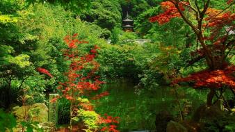 Japan japanese gardens kyoto garden wallpaper