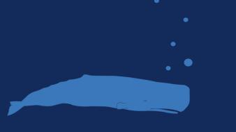 Minimalistic animals whales blue whale wallpaper