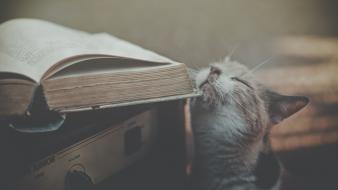 Nature cats retro books wallpaper