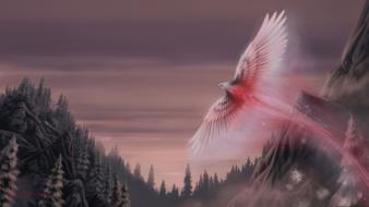 Phoenix bird fantasy wallpaper