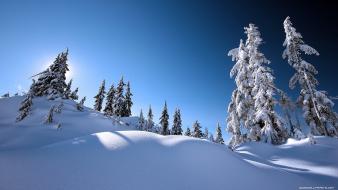 Winter scenery wallpaper