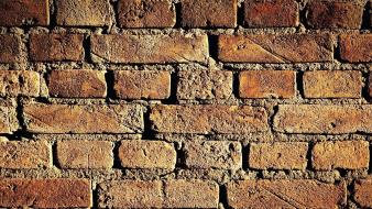 Backgrounds bricks brick wall patterns surface wallpaper
