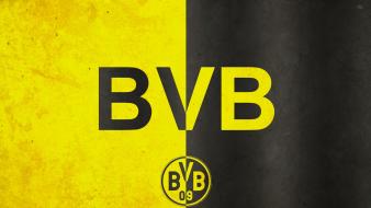 Borussia dortmund bundesliga wallpaper