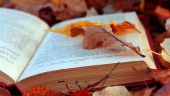 Leaves books wallpaper