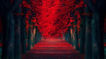 Red autumn wallpaper