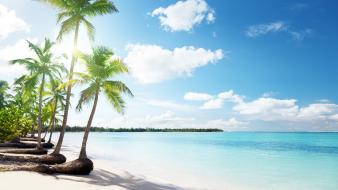 Sun ocean palm trees sand skies wallpaper