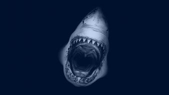 Blue sharks jaws wallpaper