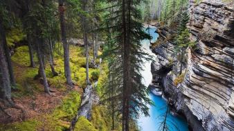 Canada cliff canyon forests grass wallpaper