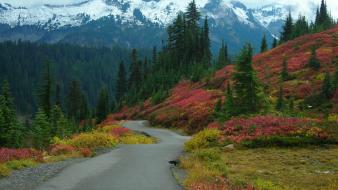 Colors mountains nature roads snowy peaks wallpaper