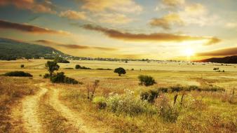 Country road countryside landscapes nature wallpaper