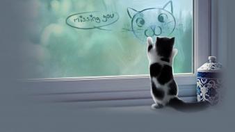 Cute cat miss you wallpaper