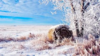 Fields landscapes natural scenery nature snow wallpaper