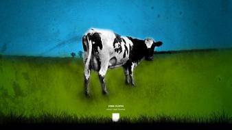 Mother pink floyd rock band music cows wallpaper