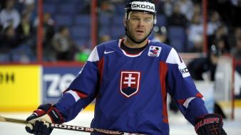 Sports team ice hockey championship slovakia slovakian wallpaper
