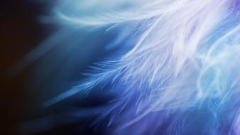 Abstract feathers wallpaper