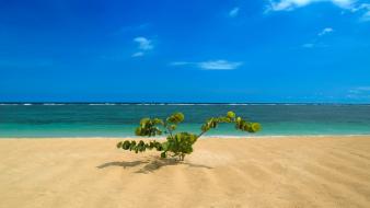 Bali beaches blue skies landscapes nature wallpaper