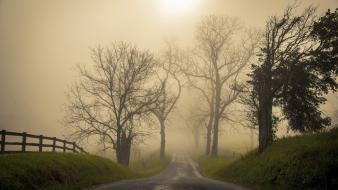 Dawn fog landscapes roads wallpaper