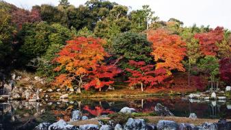 Japan autumn japanese gardens lakes colors maple