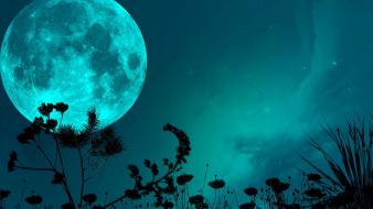 Moon moonlight night wallpaper