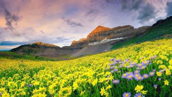 Mountains clouds landscapes nature flowers wallpaper