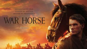 Movies posters war horse jeremy irvine wallpaper