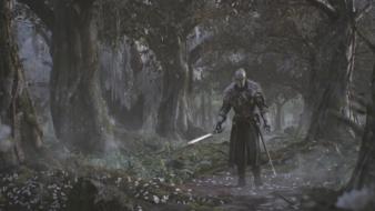 Trees cgi armor swords dark souls ii wallpaper