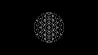 Truth one flower of life sacred geometry wallpaper