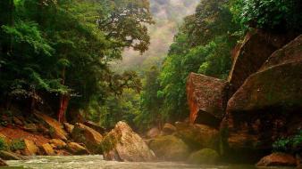 Biosphere reserve honduras rio forests go wallpaper