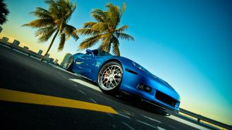 Cars palm trees chevrolet corvette z06 blue wallpaper