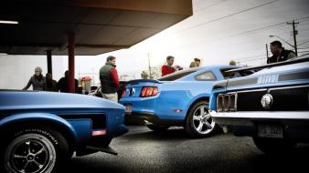 Ford mustang shelby muscle car gt500 supersnake wallpaper