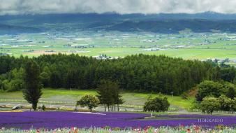 Hokkaido japan clouds landscapes meadows wallpaper