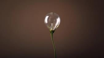 Minimalistic photosynthesis brown background lightbulb wallpaper