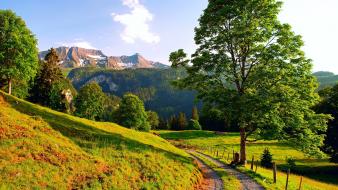 Mountains landscapes nature trees europe switzerland alps pathway wallpaper