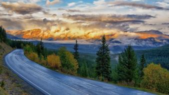 Nature forests roads skies yellowstone national park wallpaper