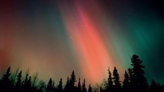 Nature night stars forests aurora borealis skies wallpaper