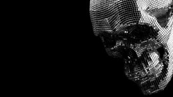 Skulls boys noize wallpaper