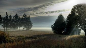 Trees fields mist