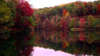 Autumn colors forests green lakes wallpaper