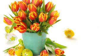 Flowers tulips holidays wallpaper