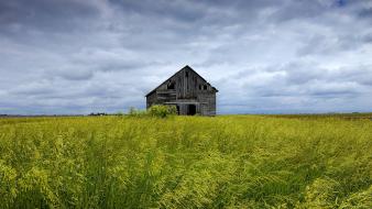 Grass houses fields meadows barn abandoned skyscapes