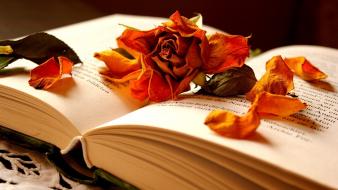 Leaves books german roses wallpaper