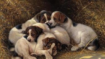 Paintings animals dogs wallpaper