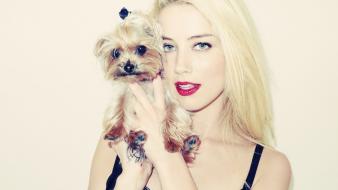 Blondes dogs amber heard wallpaper