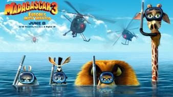 Madagascar 3 2012 Movie wallpaper