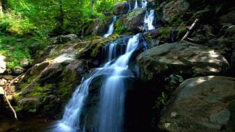Nature forest waterfalls wallpaper