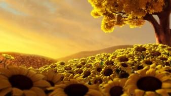 Sun Flower World Hd Hd wallpaper