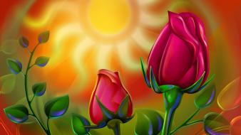 Sun Rose wallpaper