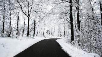 Winter Road Hd