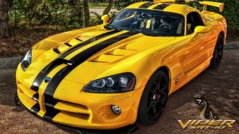 Yellow cars viper vehicles dodge srt-10 wallpaper