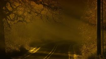 Creepy landscapes fog roads wallpaper